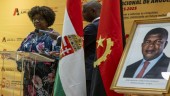 Commemorative Celebration for November 11, 2025